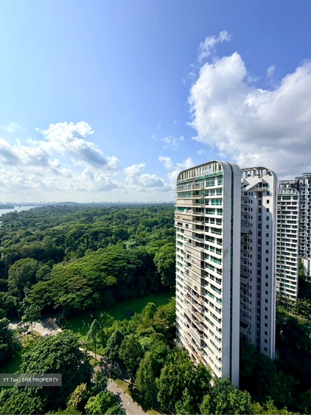 Eco Sanctuary (D23), Condominium #593087481